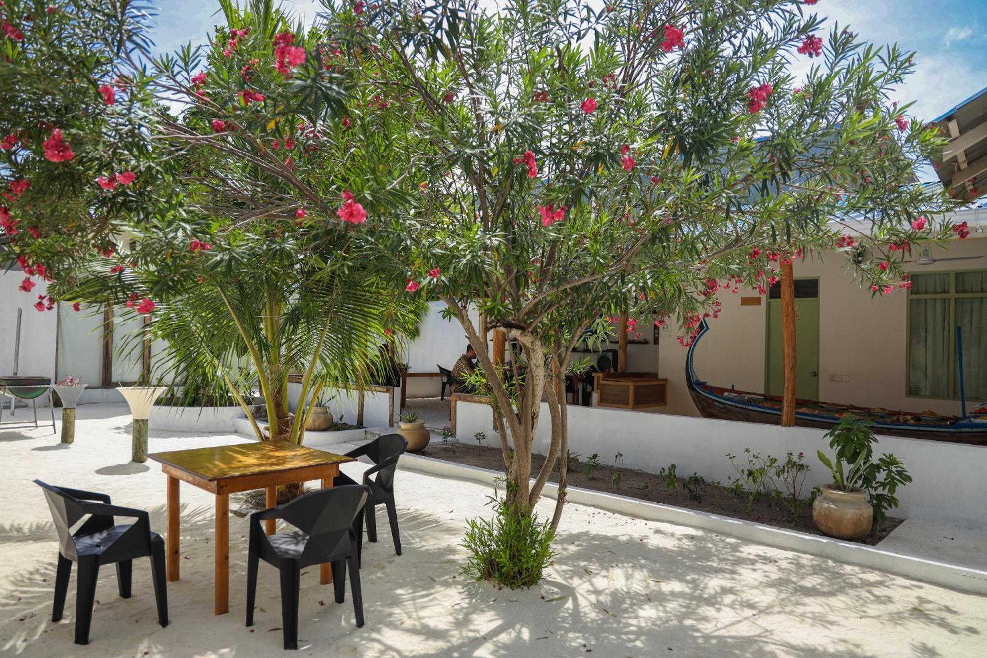 Shifa Lodge Maldives Feridhoo ภายนอก รูปภาพ